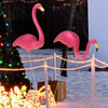 FLAMINGO DECORATIV DE GRĂDINĂ EMPA BLUEGARDEN, SET DE 2 BUCATI